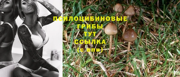 каннабис Михайловка