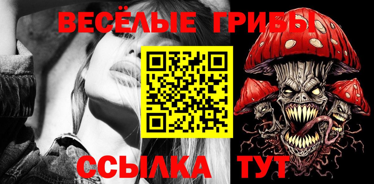 Псилоцибиновые грибы Cubensis Фурманов