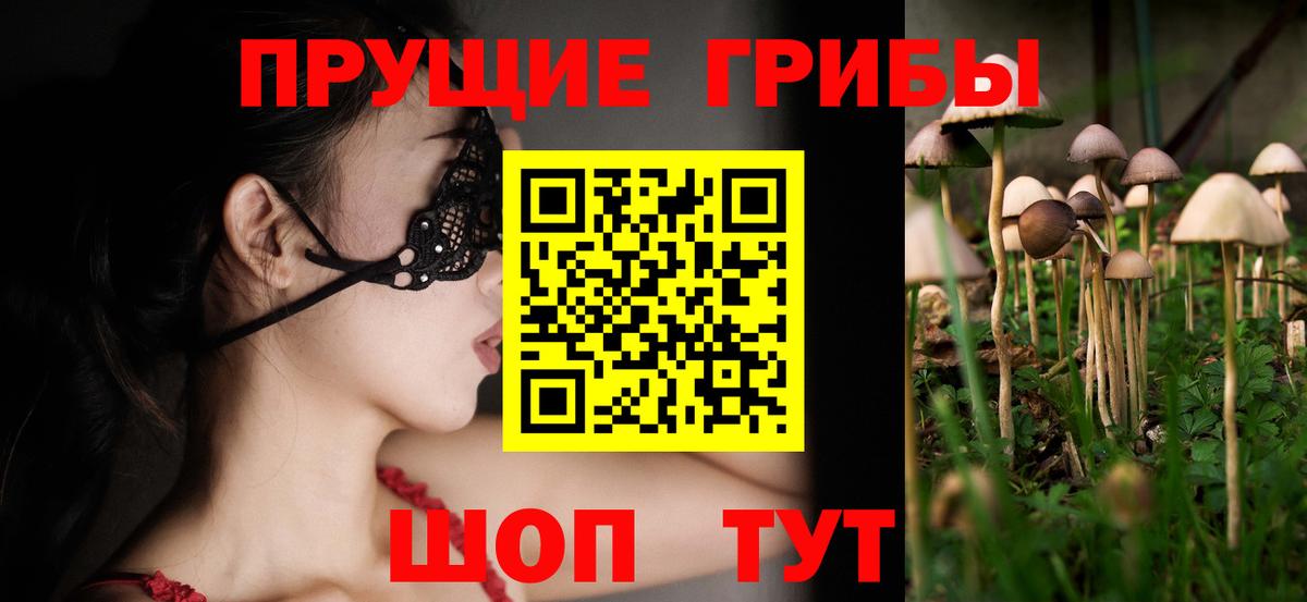 Фурманов  Псилоцибиновые грибы Psilocybine cubensis  Вход с VPN 