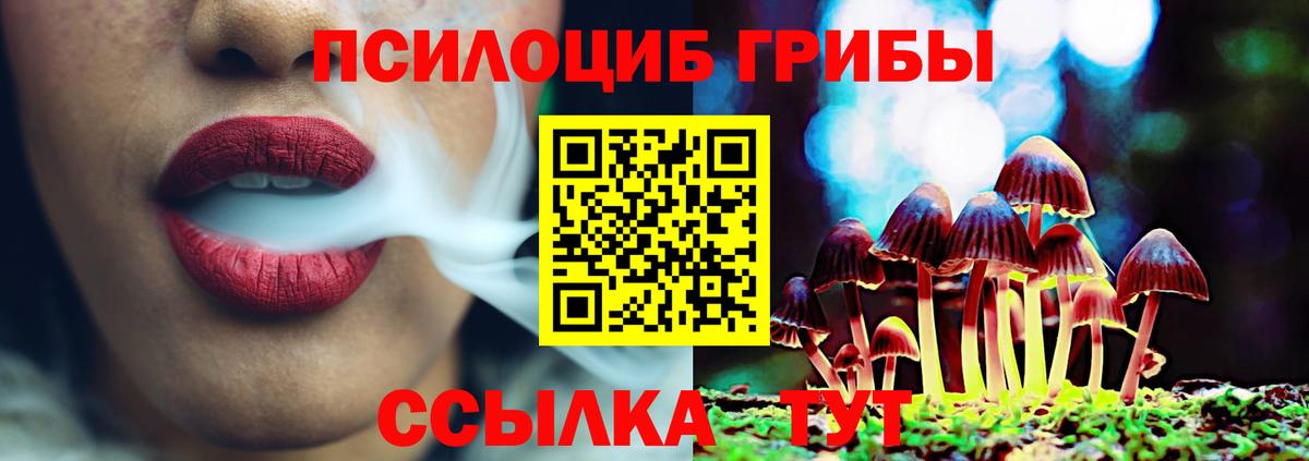 наркотики  Фурманов  Галлюциногенные грибы GOLDEN TEACHER  Галлюциногенные грибы Psilocybine cubensis 